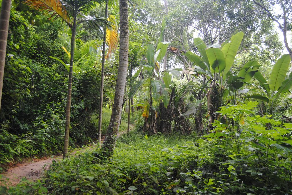 Hill Top Ayurvedic Beach Resort Varkala Exterior foto